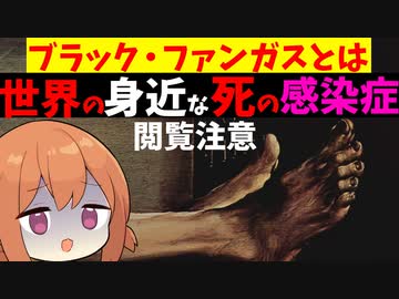 【閲覧注意】世界の身近な死の感染症。恐怖のブラック・ファンガスとは【VOICEROID解説】