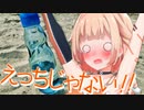 夏の風物詩