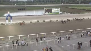 2022年7月18日高知競馬5R ２歳新馬 壱 ジョウショーセリア