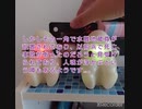 番外編　絶景が楽しめる心霊スポット①