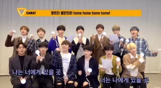 SEVENTEEN Home 応援法