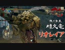 【MHRise:SB】操虫棍でソロクリア目指す M★2女王様のたたずむ庭【字幕プレイ】モンハンライズ：サンブレイク