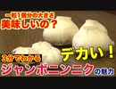 大きすぎる『ジャンボニンニク』ってどんな味？美味しいの？？