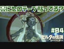 #04 ゼルダの伝説 ブレス オブ ザ ワイルド