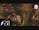 【MHR:SB＃20】凡人が行くエルガド狩猟