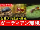ガチ勢調査したらトップにガーディアンが来ていた件について【ザアンツ】