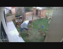 ホモと見る　アリの巣　駆除