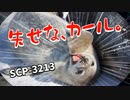 SCP-3213 失せな、カール。【ゆっくり解説】