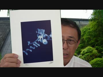 #027_イベルメクチン発見者・大村智先生から頂いた素敵なプレゼント！　長尾チャンネル