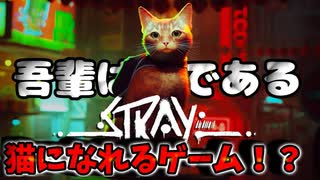 ネコになって自由に散歩できる！？サイバーパンク都市を冒険するADV『Stray』