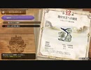 【MHSB百狩行脚】二人っきりで【２２狩目】