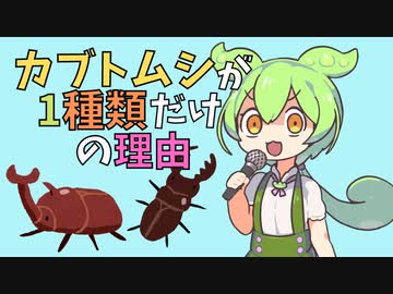 人気の カブトムシ 動画 4本 ニコニコ動画