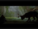 Stray