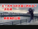 え？カサゴが釣れるの？浜名湖 新居海釣公園ではカサゴがたくさん釣れます