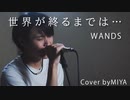 WANDS /『世界が終るまでは…』（リクエスト曲）