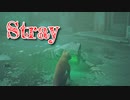 【Stray】「仲間とはぐれてしまった…」猫になって、人類の滅んだ世界を探索するアドベンチャーゲームをやっていくよ！【2匹目】