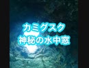 上城（カミグスク）ダイビング！水中窓・ハナダイ＆アマミスズメダイ群れ