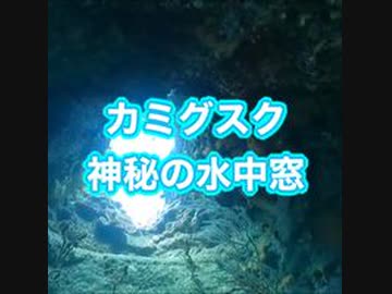 上城（カミグスク）ダイビング！水中窓・ハナダイ＆アマミスズメダイ群れ