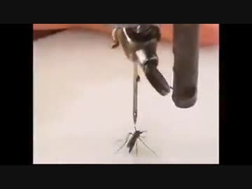 ホモと見る　蚊へオーバーキル