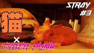 【猫×CYBER PUNK】SNSで話題の猫のゲーム STRAY Part3【ゲーム実況】