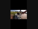 ぼっちなおっさんと野良猫の奇妙な関係#Shorts【野良猫】【感動猫】