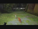 【stray】可愛すぎてヤバい。 お試しプレイ　その１(2022-07-20)