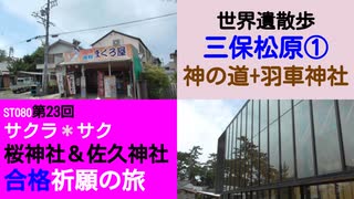 ST080-23　世界遺産歩：三保松原でまぐろ屋さまの鉄火丼を食べて静岡茶を貰える素敵回【サクラ＊サク　桜神社＆佐久神社合格祈願の旅】