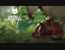 【ゲーム実況】荒廃したサイバーパンクの世界を野良猫になってかけめぐる【stray】