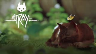 【ゲーム実況】荒廃したサイバーパンクの世界を野良猫になってかけめぐる【stray】