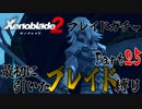 縛りで振り返る【ゼノブレイド2】Part25