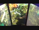 戦場の絆Ⅱ　メサなんとか600