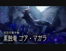【MHRS】発売日から全モンスターを倒すまで【実況】part12