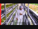 Hydroponic Plant Growing Tents