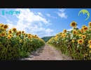 【NNIオリジナル】夏の探し物
