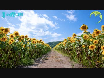 【NNIオリジナル】夏の探し物