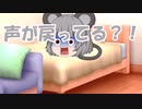 声が変わりました?！