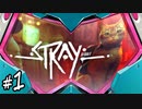 Stray #1