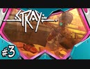Stray #3