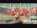 #05 ゼルダの伝説 ブレス オブ ザ ワイルド