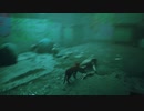 【stray】steamで高評価の猫徘徊ゲーを実況プレイ【ストレイ】