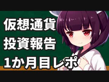 仮想通貨投資報告レポ（+176,000円/月、実質利回り15.6%）