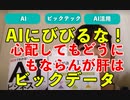 AIにびびるな第二弾！おそれるべきはビックデータをもっている者達ではないか？