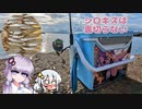 【VOICEROIDフィッシング】シロギスに癒してもらうつもりが…【チョイ投げ】