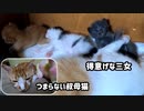目をパッチリさせながらーの＋短いお手々を振り回す！