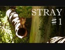 Steamで買った猫のゲーム「STRAY」を実況プレイ【#1】