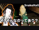 敵から逃げつつ敵を見つけて敵を投げ入れ敵を見抜いて脱出するホラゲー【SnakeHall / フリーゲーム・ホラーゲーム】