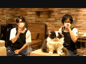 ちょいみけねこ男子 きゃりこ吉祥寺店 22年7月号 動物 動画 ニコニコ動画
