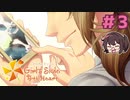 ずるくてかわいい大人の人【ときメモGS4】御影小次郎一途プレイ#3