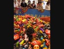 ホモと見る　欲張りなクレーンゲームアーム