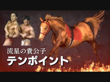 牧場経営のド迫力.WP9 2022 第2R(1976)